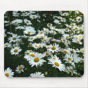 Shasta Daisies Mouse Pad