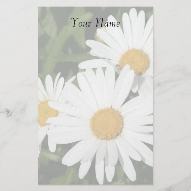 Shasta Daisies Stationary Stationery (Front)