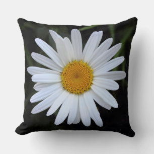 Shasta Daisy 01 Cushion