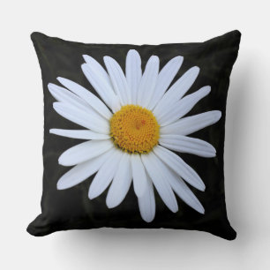 Shasta Daisy 02 Cushion