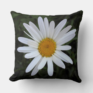 Shasta Daisy 03 Cushion