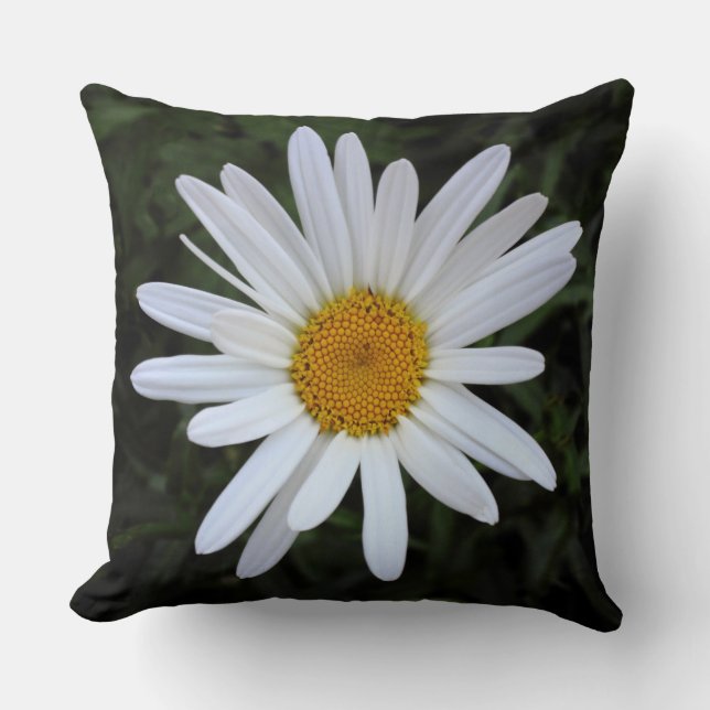 Shasta Daisy 03 Cushion (Front)
