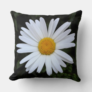 Shasta Daisy 04 Cushion