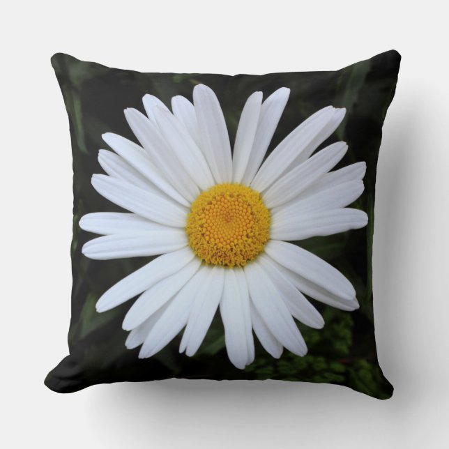 Shasta Daisy 04 Cushion (Front)