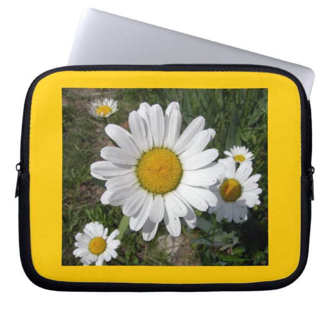 Shasta Daisy (Chrysanthemum maximum) Laptop Sleeve (Front)