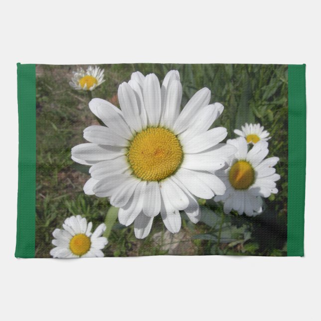 Shasta Daisy (Chrysanthemum maximum) Tea Towel (Horizontal)