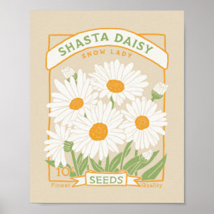 Shasta Daisy Poster