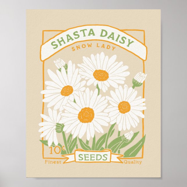 Shasta Daisy Poster (Front)