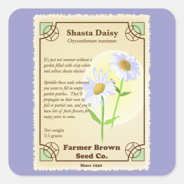 Shasta Daisy Seed Packet Square Sticker (Front)