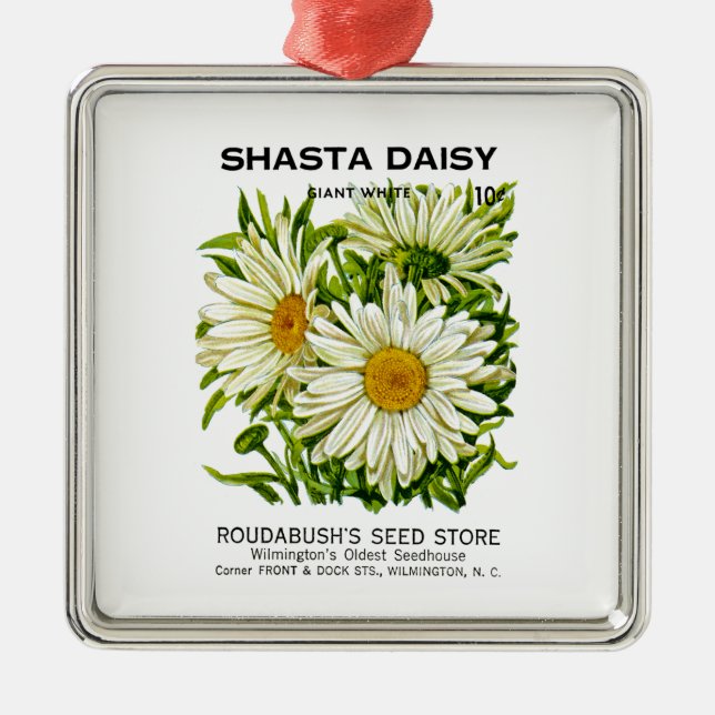 Shasta Daisy Vintage Seed Packet Metal Ornament (Front)