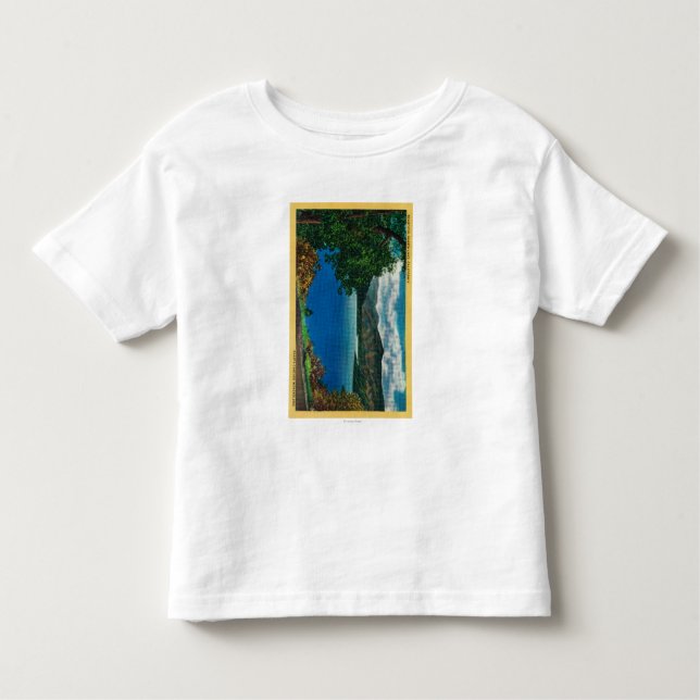 Shasta Lake ViewShasta, CA Toddler T-Shirt (Front)