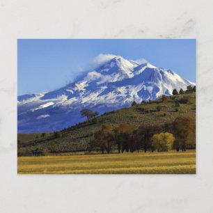 SHASTA VIEW POSTCARD