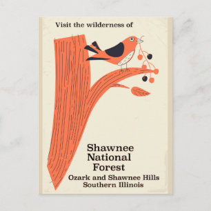 Shawnee National Forest Illinois vintage poster Postcard