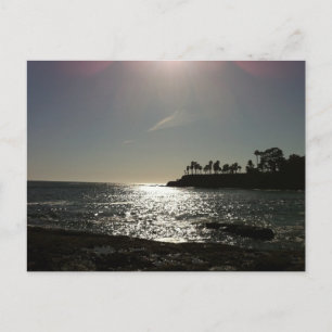 Shaw's Cove Postcard
