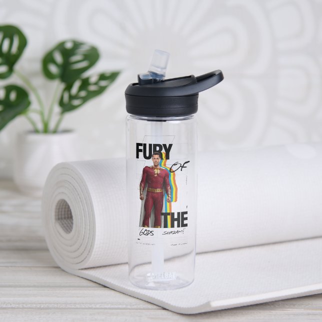 SHAZAM! Fury of the Gods | Retro Album Style Art Water Bottle (Yoga)