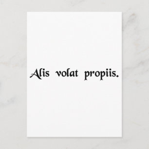 She flies with her own wings postcard