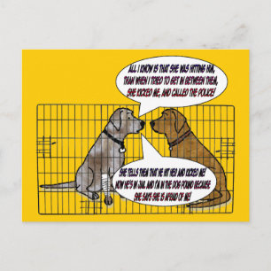 She Kicked The Dog Postcard