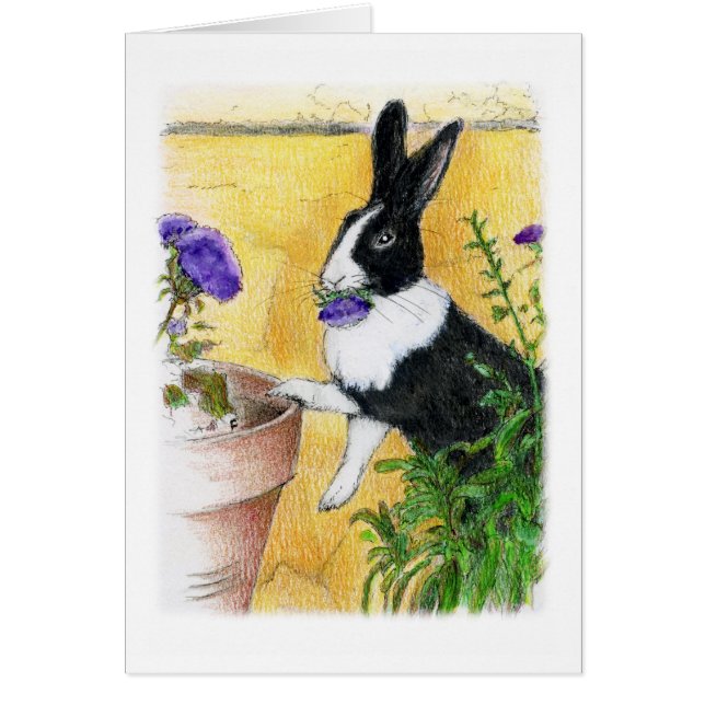 SHE LOVES ME (Front)