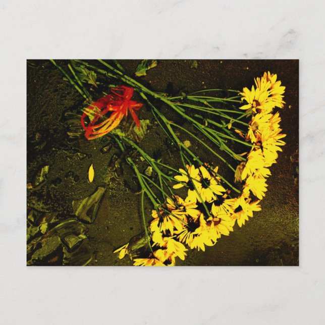 She Loves Me NOT! Postcard (Front)