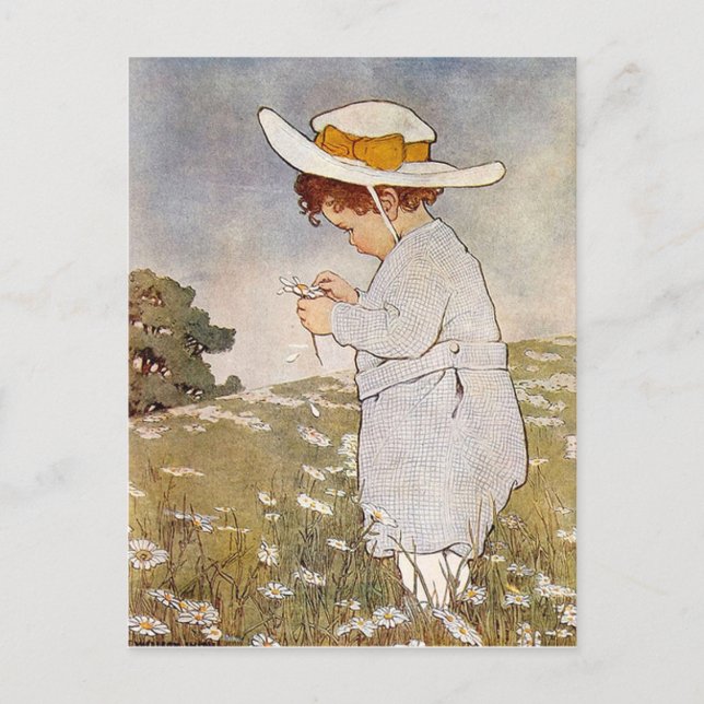 She Loves Me, She Loves Me Not Postcard (Front)