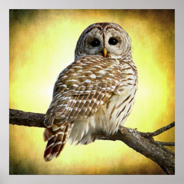 She sees right into the heart of me poster (Front)