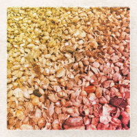 She Sells Ombre Seashells