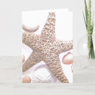 She sells sea shells card