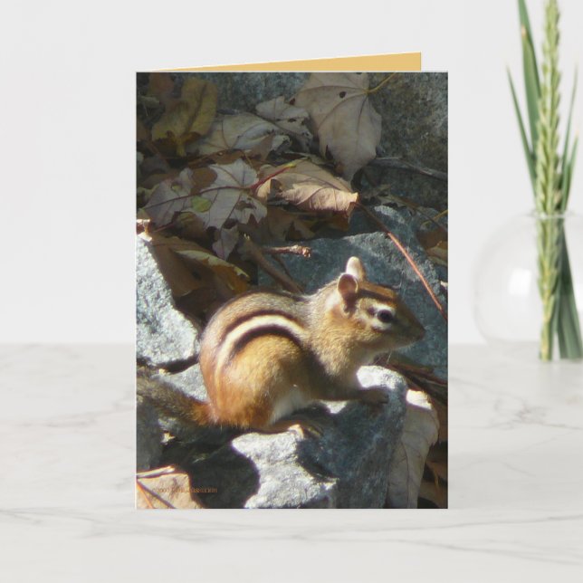 She Stopped Card (Front)