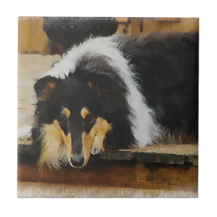 She Waits Tri Colour Collie Tile