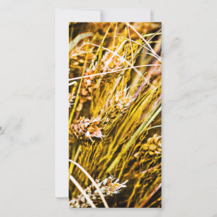 Sheaf Of Wheat - Thank You Card