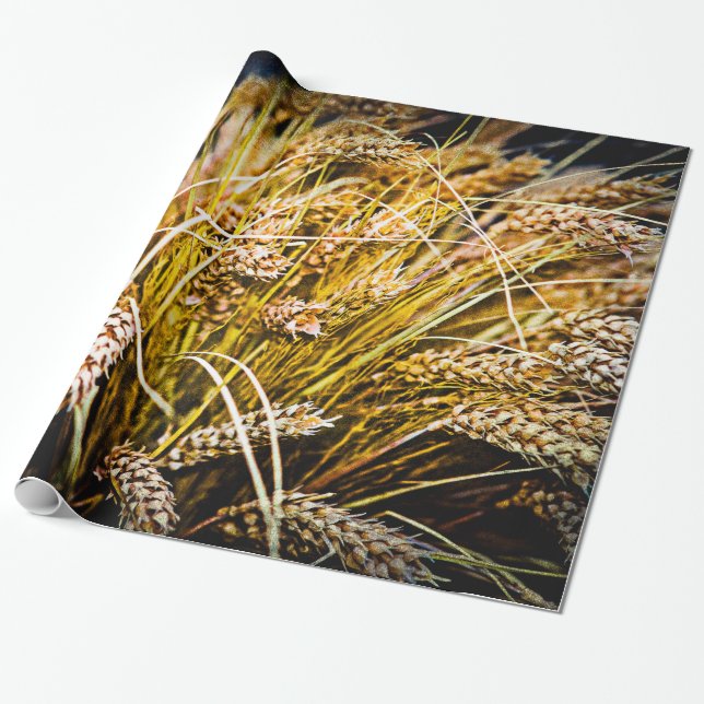 Sheaf Of Wheat - Thank You Wrapping Paper (Unrolled)