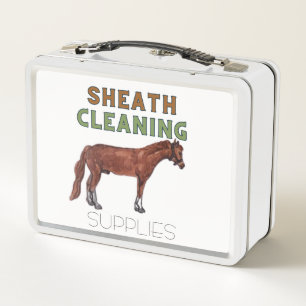 sheath cleaning supplies box