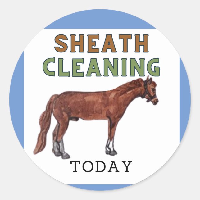 sheath cleaning today sticker  (Front)