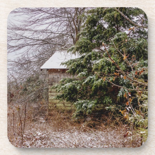 Shed Abandoned Coaster (Front)