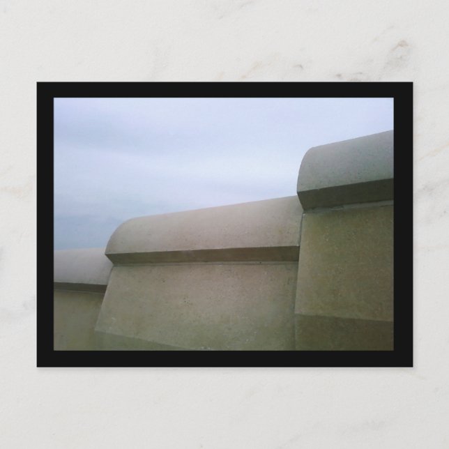 shedd aquarium postcard (Front)