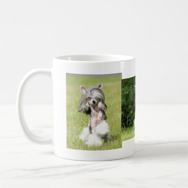 Sheeba Pointing Coffee Mug (Left)