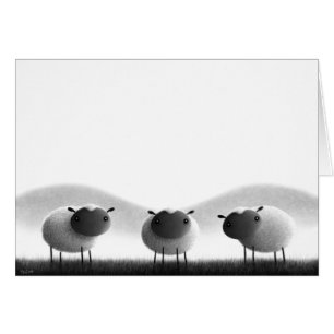 Sheep