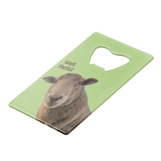 Sheep (Front Angled)