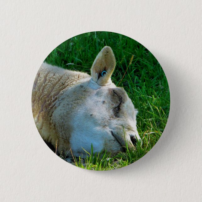 SHEEP 6 CM ROUND BADGE (Front)