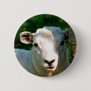 SHEEP 6 CM ROUND BADGE