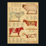 Sheep Anatomy Atlas Chart<br><div class="desc">Sheep Anatomy Atlas Poster 18" X 24". Anatomical chart showing the surface anatomy,  the skeleton,  the superficial muscles,  the arteries,  veins and internal organs of the sheep. Domestic farm animal wall art.</div>