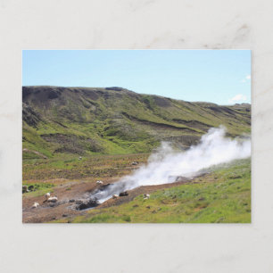 Sheep and hot spring postcard