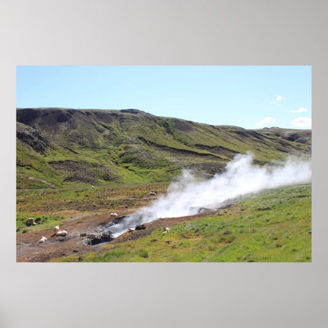 Sheep and hot spring poster (Front)