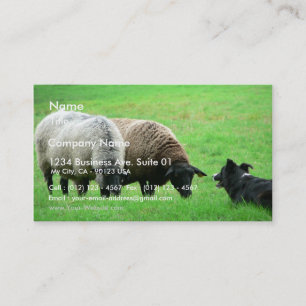 Sheep And Sheep Dog Business Card