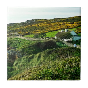 Sheep at Ireland Tile