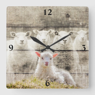 Sheep Baby Lamb Burlap Square Wall Clock