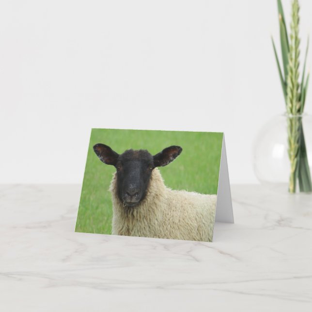 Sheep Blank Note Card Stationery (Front)