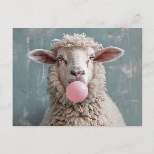 Sheep Blowing Pink Bubble Gum Bubble Postcard (Front)