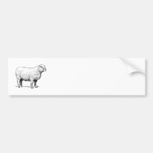 Sheep Bumper Sticker
