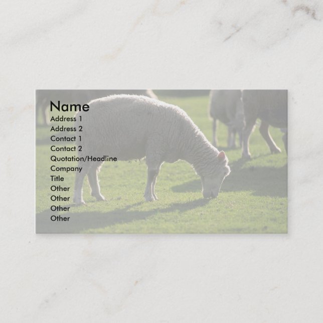 Sheep Business Card (Front)